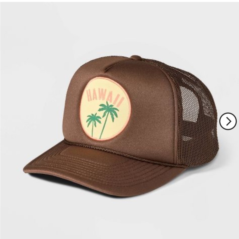 NWT ascot + hart hawaii trucker hat
